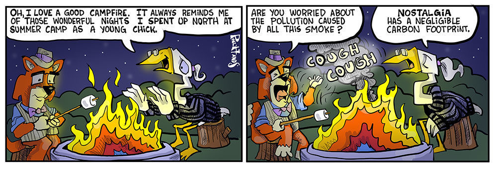 Campfire nights